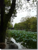 P1010508