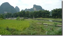 P1070419