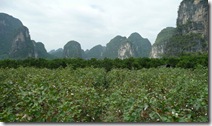 P1070451
